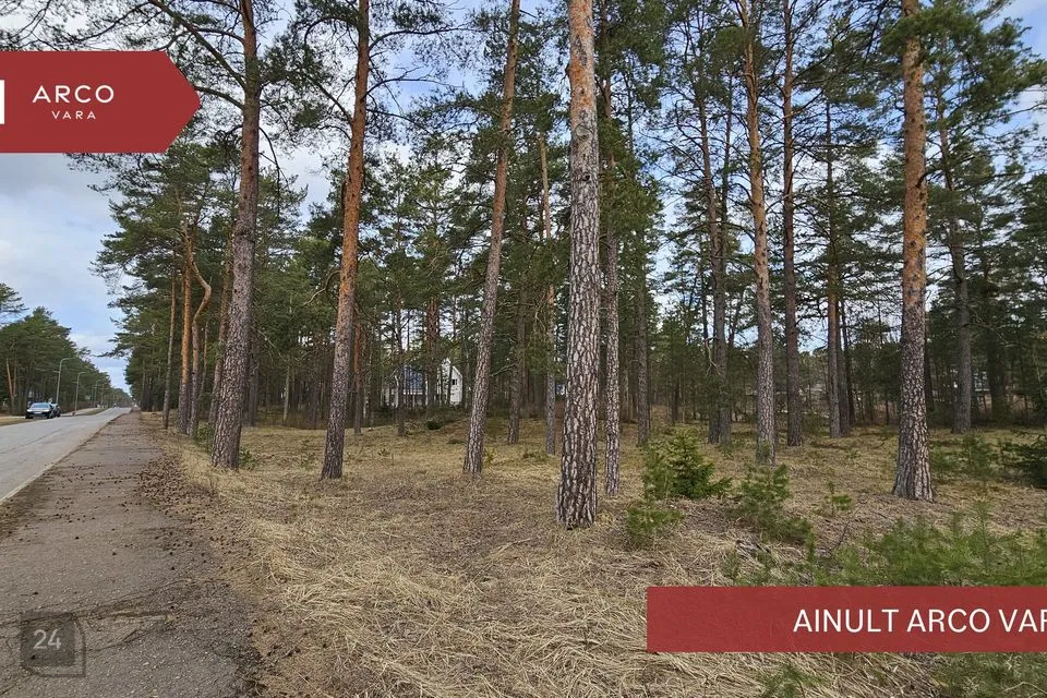 Elamumaa, 1598 m² Maa  -  Narva-Jõesuu linn, Narva-Jõesuu linn - foto 3