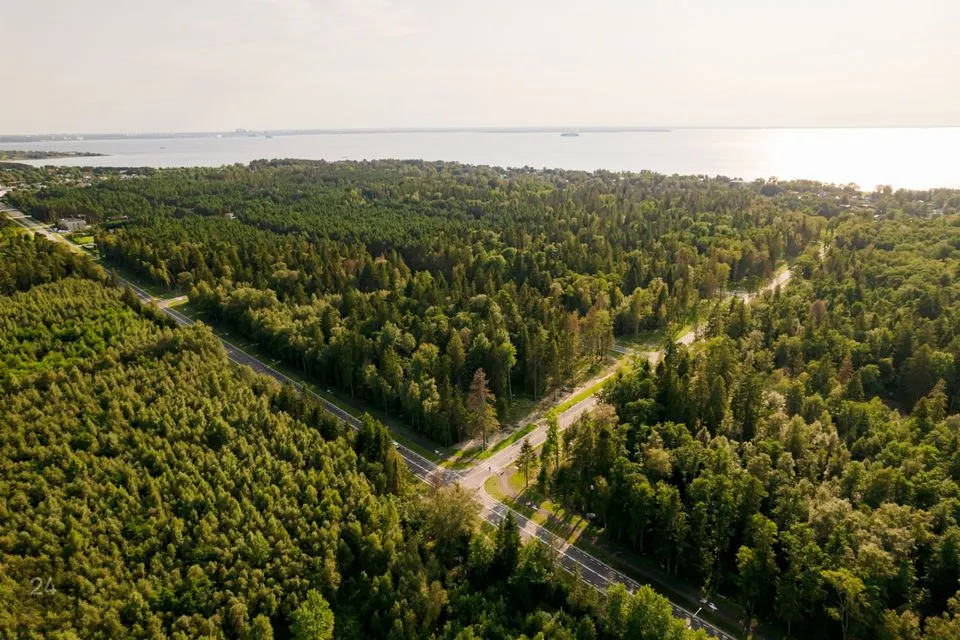 Elamumaa, 3834 m² Maa  -  Viimsi vald, Pringi küla - foto 3