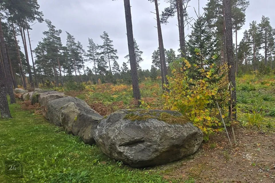 Elamumaa, 10001 m² Maa  -  Saaremaa vald, Jaani küla