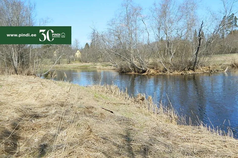 Maatulundusmaa, 51200 m² Maa - Türi vald, Jändja küla - foto 2