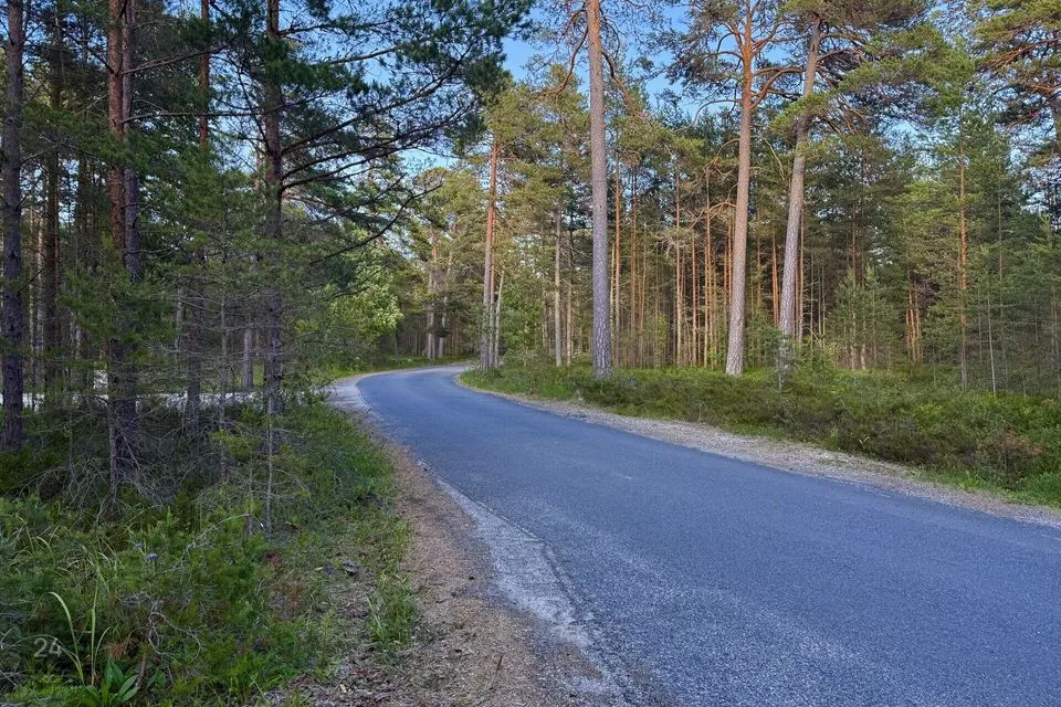 Elamumaa, 5281 m² Maa  -  Lääne-Nigula vald, Elbiku küla / Ölbäck - foto 3