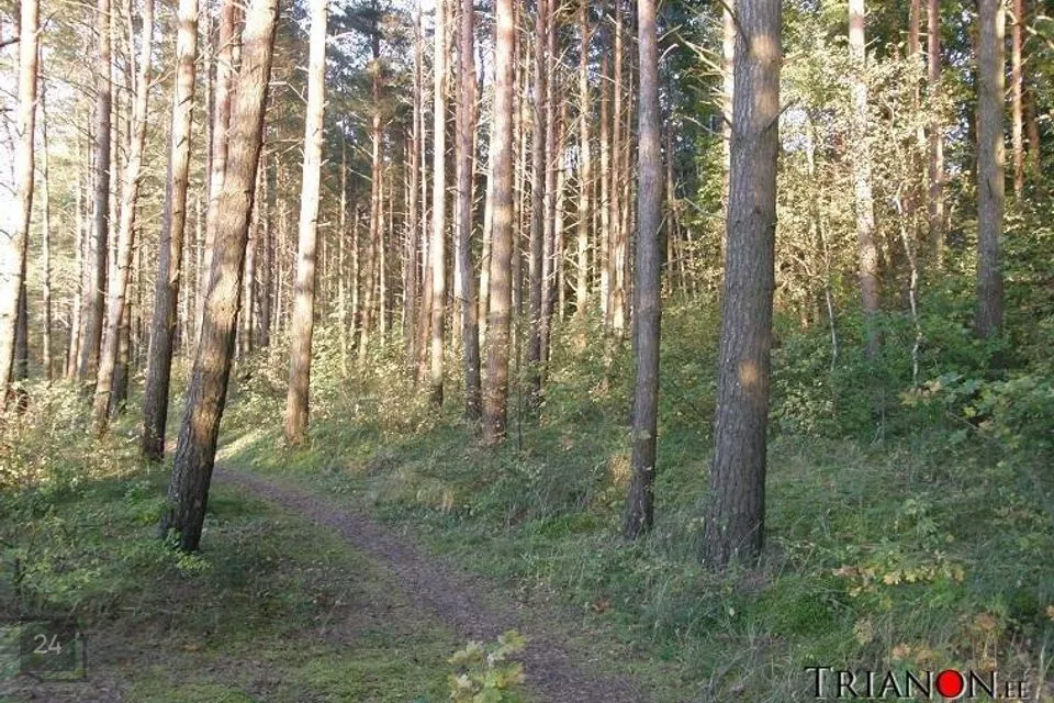 5712 m² land in Narva-Jõesuu linn, Narva-Jõesuu linn - photo 4