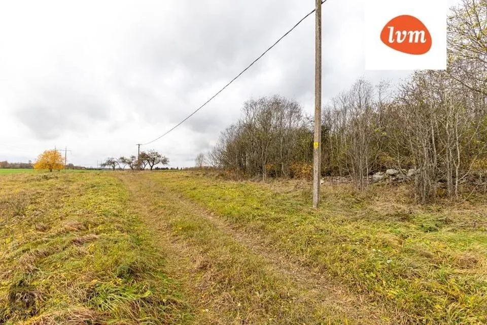 Maatulundusmaa, 76100 m² Maa  -  Rae vald, Urvaste küla - foto 3