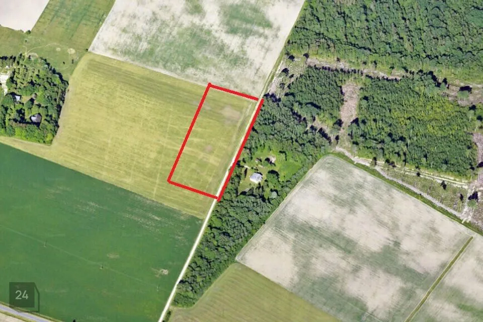 Maatulundusmaa, 47500 m² Maa  -  Tori vald, Oore küla - foto 2