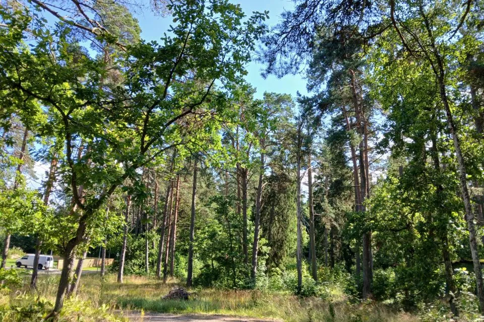 Elamumaa, 4037 m² Maa - Kuusalu vald, Valkla küla - foto 2