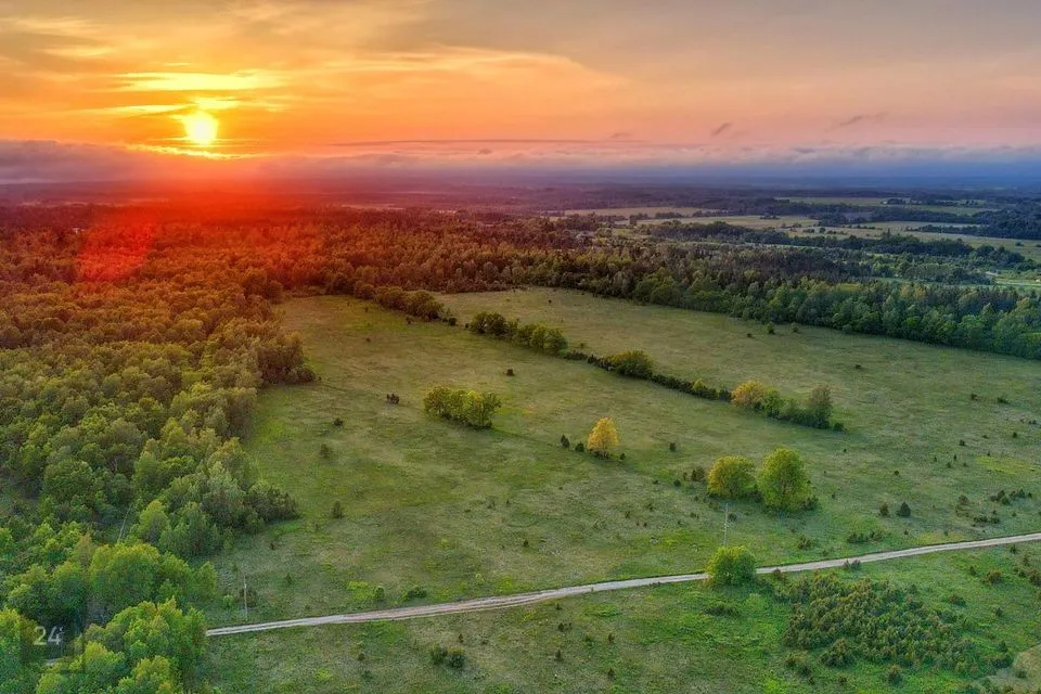3177 m² Maa - Lääne-Harju vald, Valkse küla - foto 4