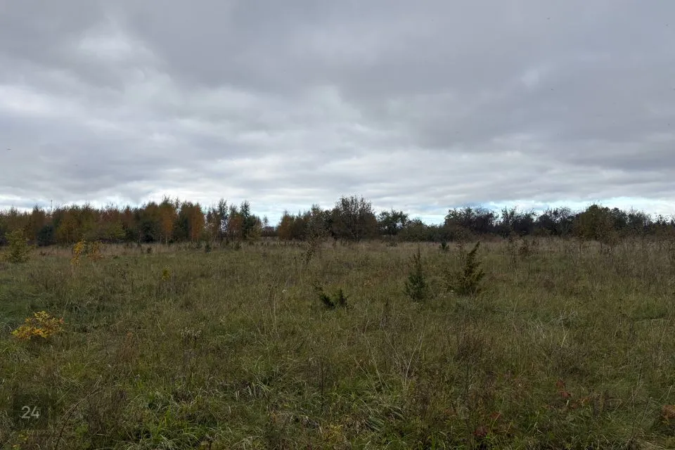 Maatulundusmaa, 20063 m² Maa - Saaremaa vald, Pöide-Keskvere küla - foto 3