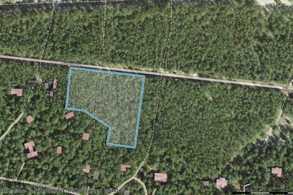 Земля жилой застройки, 7254 m² участок в Lääne-Harju vald, Laulasmaa küla - фото 5