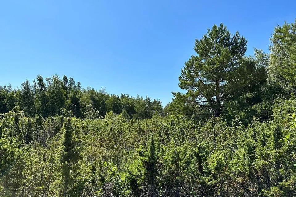 Elamumaa, 10571 m² Maa  -  Lääneranna vald, Virtsu alevik - foto 2