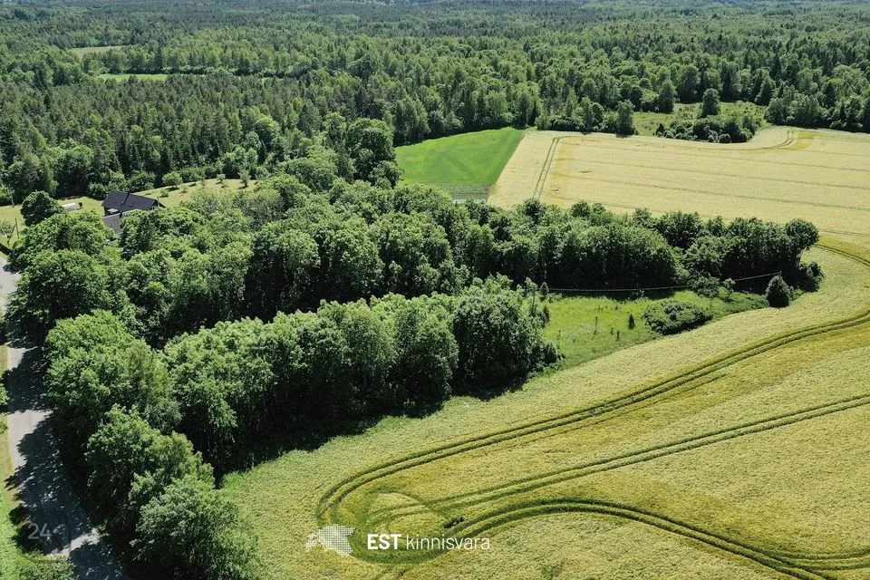 Maatulundusmaa, 12000 m² участок в Saaremaa vald, Valjala-Nurme küla - фото 3