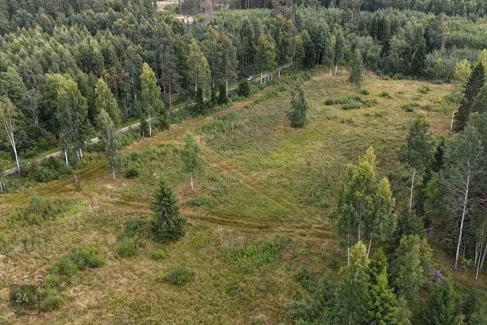 Maatulundusmaa, 19415 m² Maa  -  Mustvee vald, Separa küla - foto 2