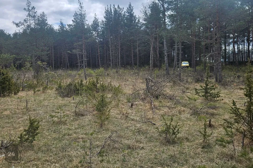 Elamumaa, 8548 m² Maa  -  Saaremaa vald, Muratsi küla - foto 5