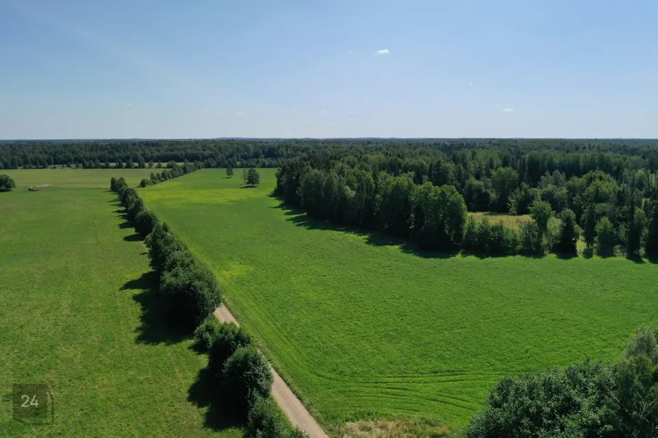 Maatulundusmaa, 25604 m² Maa - Anija vald, Rooküla - foto 5