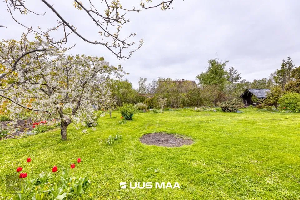 Elamumaa, 931 m² Maa  -  Lääne-Harju vald, Laulasmaa küla - foto 4