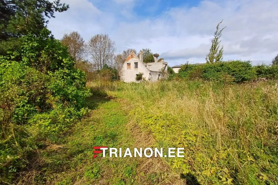 Elamumaa, 2951 m² Maa  -  Narva-Jõesuu linn, Laagna küla - foto 4