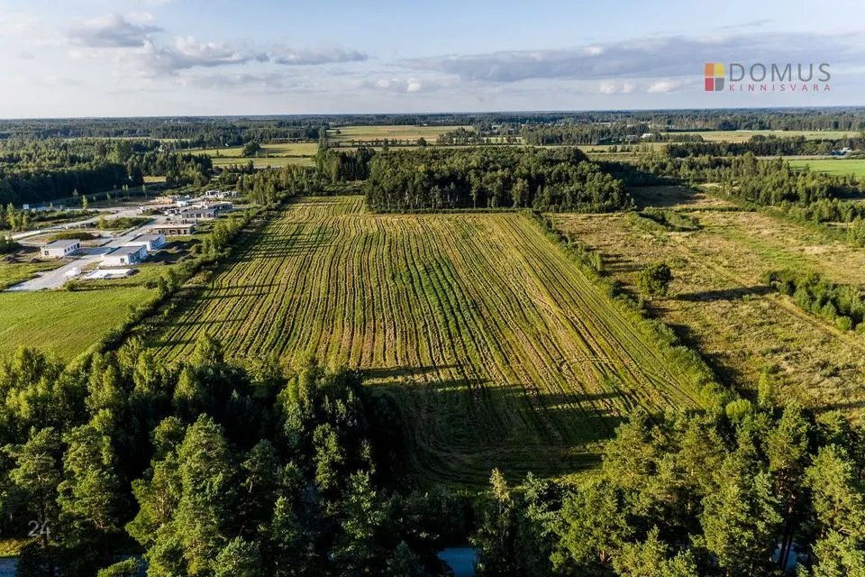 Maatulundusmaa, 64900 m² Maa - Pärnu linn, Papsaare küla - foto 5