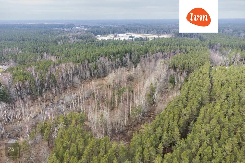 Elamumaa, 24057 m² Maa  -  Saarde vald, Kilingi-Nõmme linn - foto 5