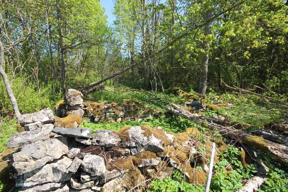 Maatulundusmaa, 22100 m² Maa  -  Saaremaa vald, Ridala küla - foto 5