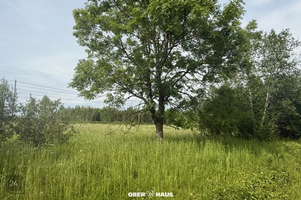 9994 m² Maa - Alutaguse vald, Jaama küla - foto 3