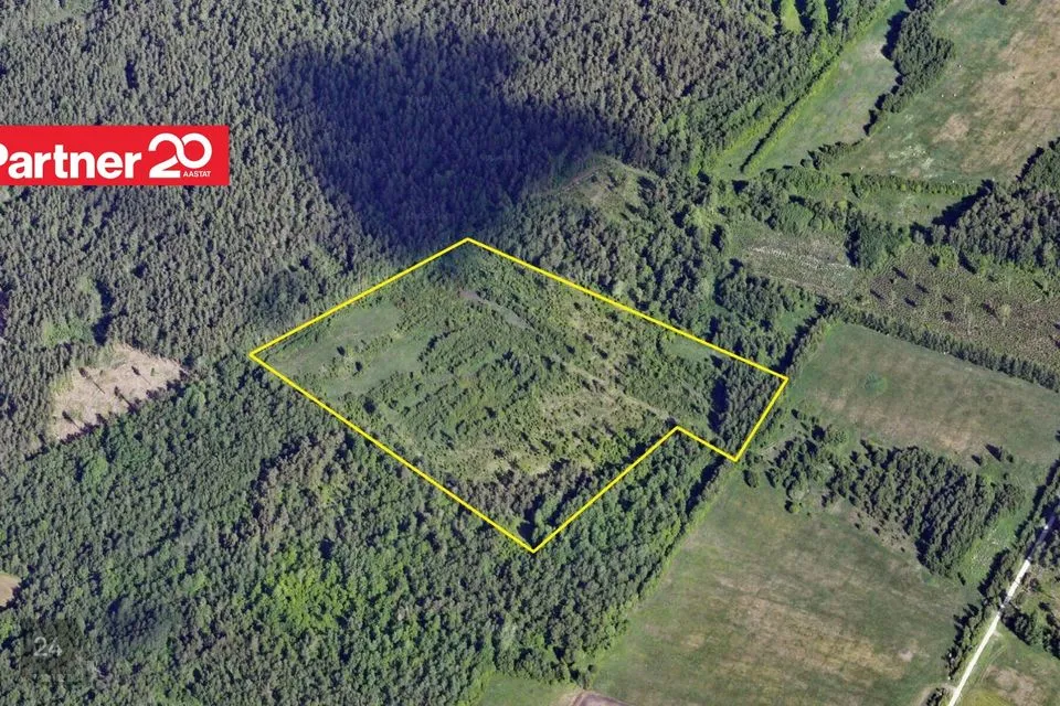 Maatulundusmaa, 62830 m² Maa  -  Saaremaa vald, Pärsama küla - foto 2
