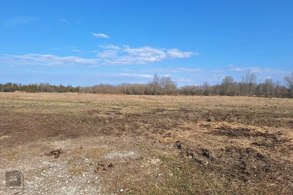 Maatulundusmaa, 166630 m² Maa  -  Lääne-Harju vald, Kurkse küla - foto 3