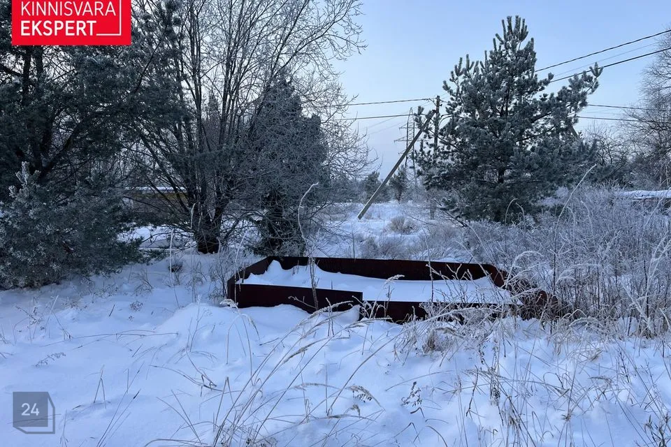 Elamumaa, 772 m² Maa - Harku vald, Türisalu küla - foto 5
