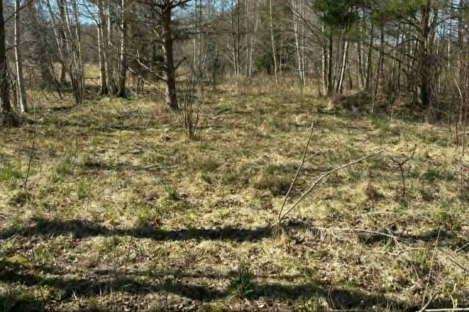 Maatulundusmaa, 21122 m² участок в Hiiumaa vald, Tammistu küla - фото 2