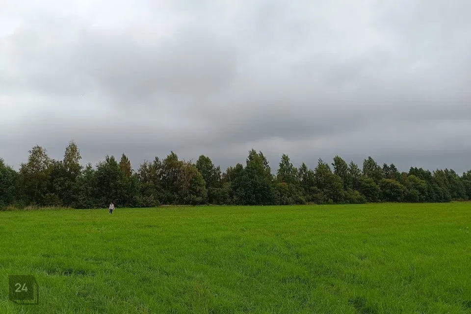 Maatulundusmaa, 5612 m² Maa  -  Saaremaa vald, Nasva alevik
