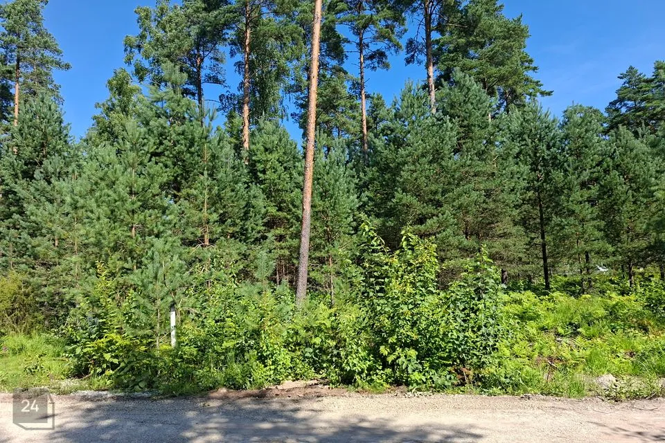 Elamumaa, 2256 m² Maa  -  Alutaguse vald, Kuru küla - foto 4