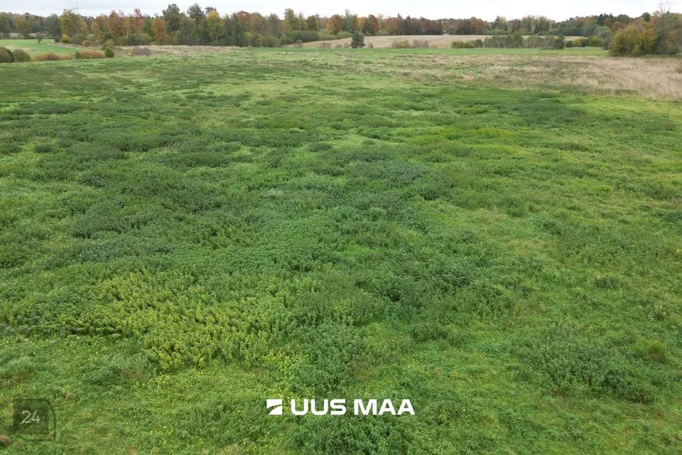 Elamumaa, 17444 m² Maa  -  Rapla vald, Atla küla - foto 3