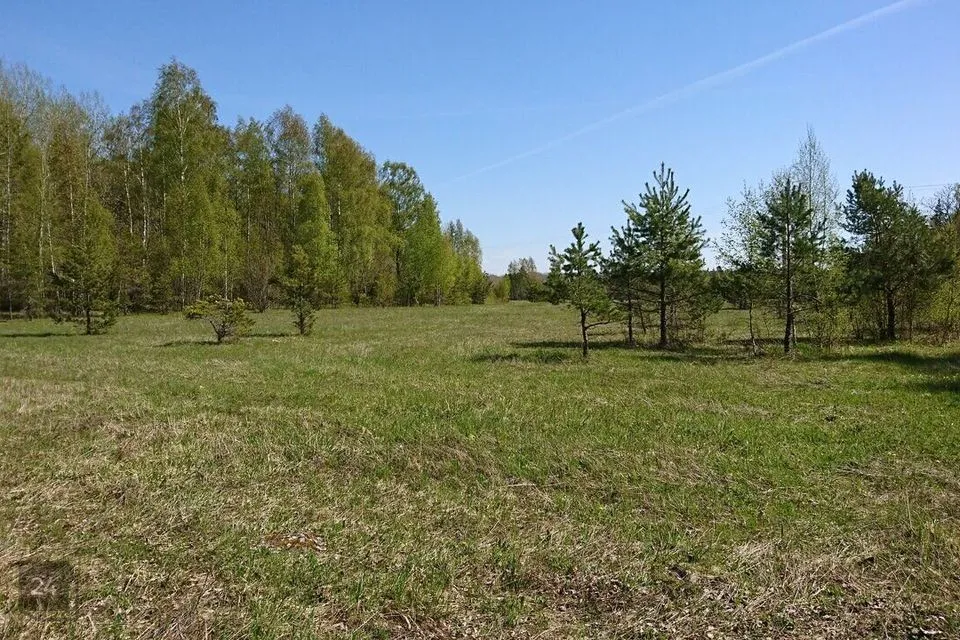 Maatulundusmaa, 11026 m² Maa - Muhu vald, Tupenurme küla - foto 2