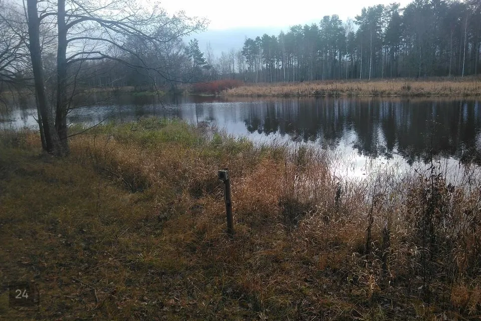 Maatulundusmaa, 12228 m² Maa  -  Mustvee vald, Omedu küla - foto 3