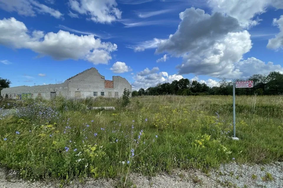 Земля производственного назначения, 9530 m² участок в Narva-Jõesuu linn, Tõrvajõe küla - фото 3