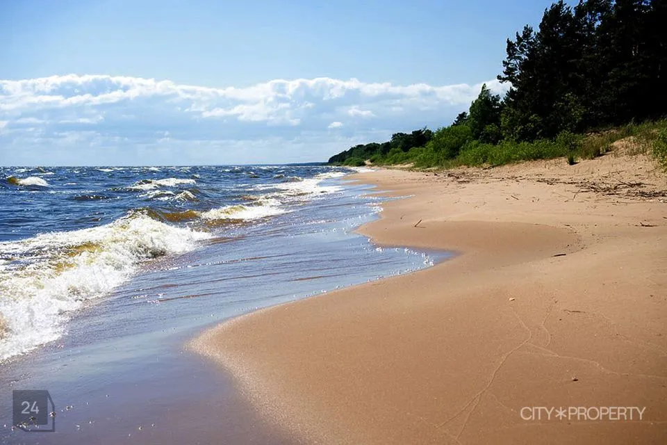 Residential land, 3402 m² land in Alutaguse vald, Katase küla - photo 2