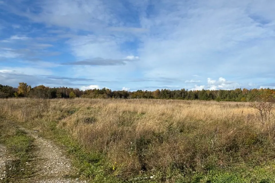 Maatulundusmaa, 25735 m² участок в Saaremaa vald, Pammana küla