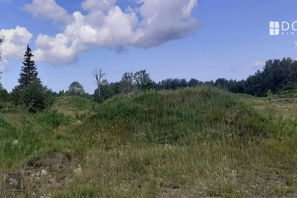 Maatulundusmaa, 43500 m² участок в Saue vald, Tuula küla - фото 5