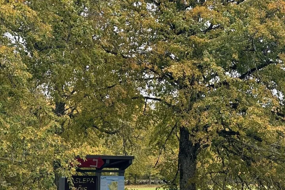 Maatulundusmaa, 5004 m² Maa - Lääne-Nigula vald, Paslepa küla / Pasklep - foto 2