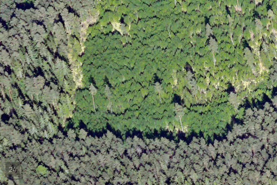 Maatulundusmaa, 94885 m² Maa  -  Setomaa vald, Nedsaja küla - foto 2