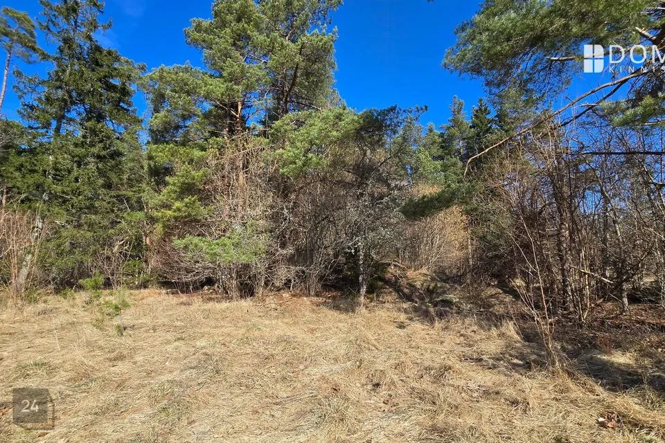 Земля жилой застройки, 10000 m² участок в Saaremaa vald, Viki küla
