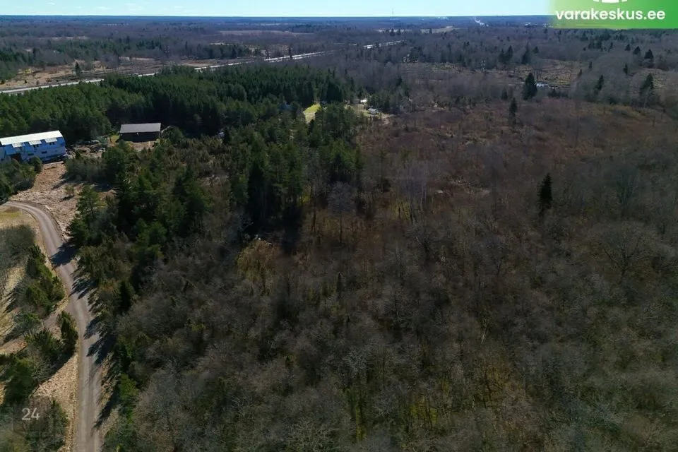Maatulundusmaa, 22943 m² Maa  -  Saue vald, Jõgisoo küla - foto 4