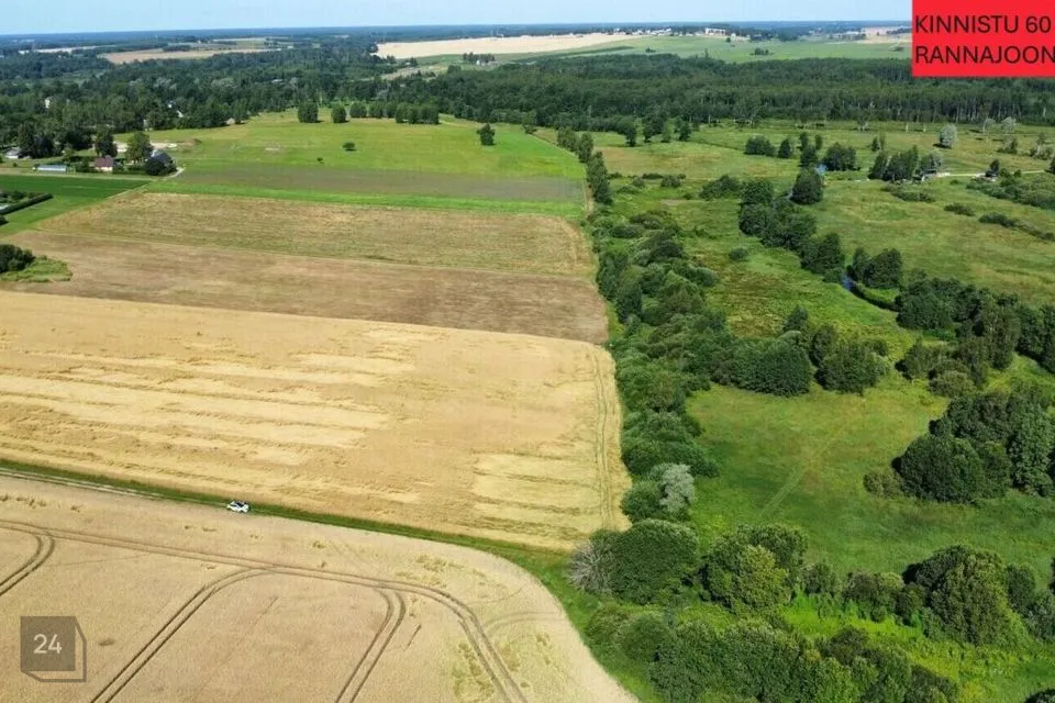 Maatulundusmaa, 60820 m² Maa  -  Tartu vald, Vasula alevik - foto 2