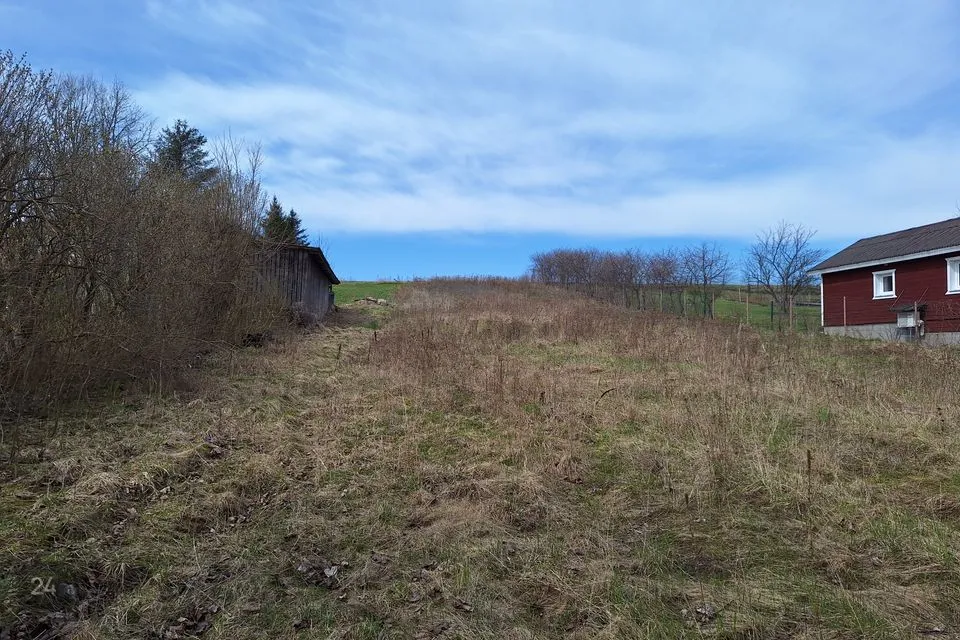 Elamumaa, 1482 m² Maa - Türi vald, Kirna küla - foto 2