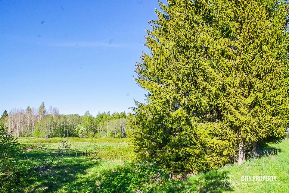 Maatulundusmaa, 18613 m² Maa - Raasiku vald, Kiviloo küla - foto 4