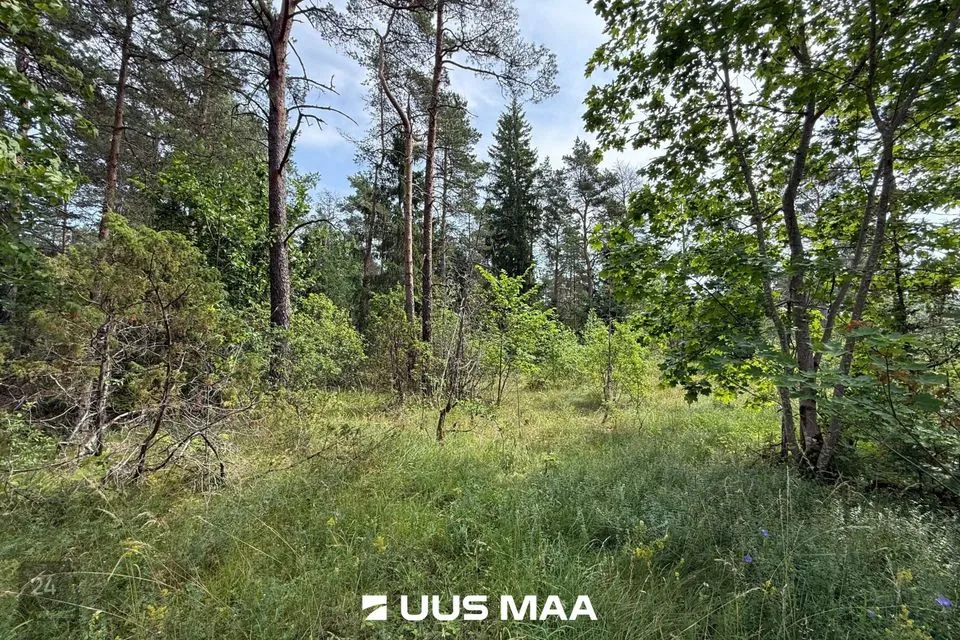 Elamumaa, 2930 m² Maa  -  Lääne-Harju vald, Nahkjala küla - foto 2