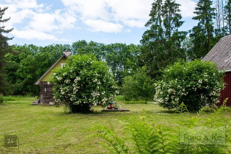 3-toaline Maja  -  Viru-Nigula vald, Varudi küla - foto 2