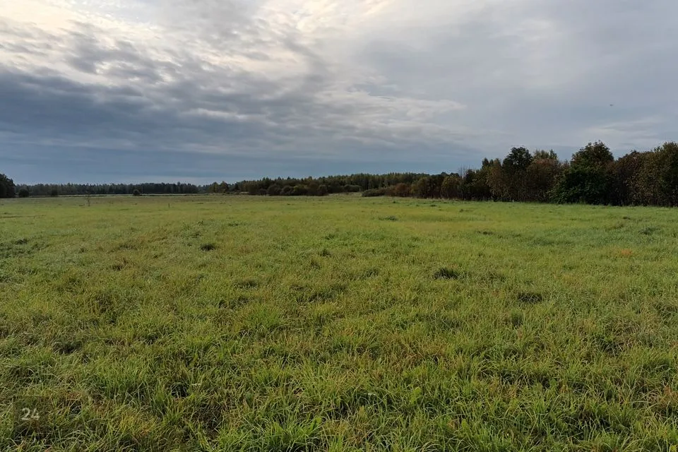 Maatulundusmaa, 38639 m² Maa - Jõgeva vald, Õuna küla - foto 3