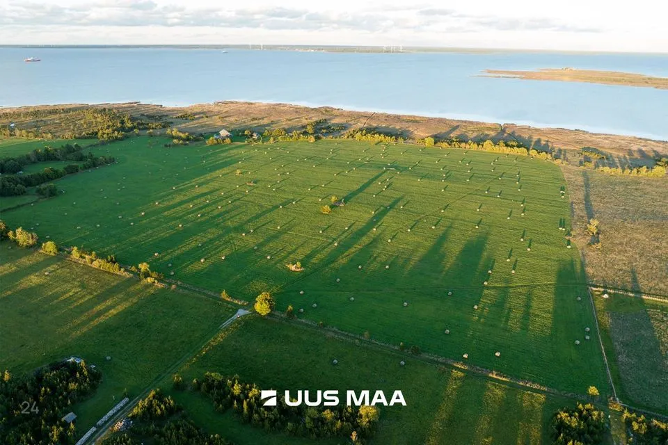 Maatulundusmaa, 20406 m² Maa  -  Muhu vald, Võiküla - foto 3