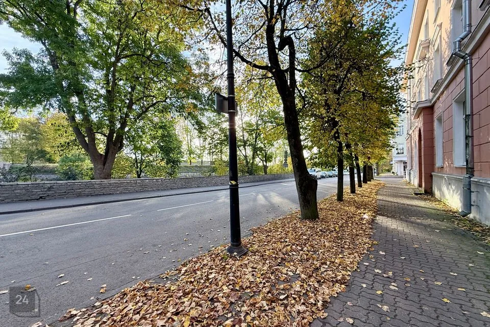 Mitme sihtotstarbega, 17 m² Äripind  -  Narva linn