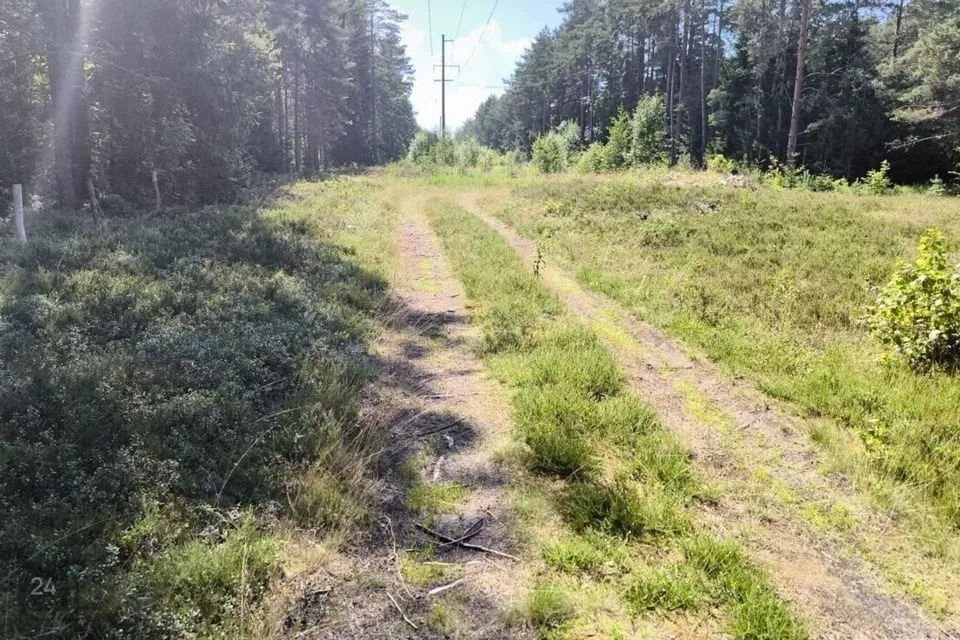 Elamumaa, 9070 m² Maa  -  Lääne-Harju vald, Langa küla - foto 3