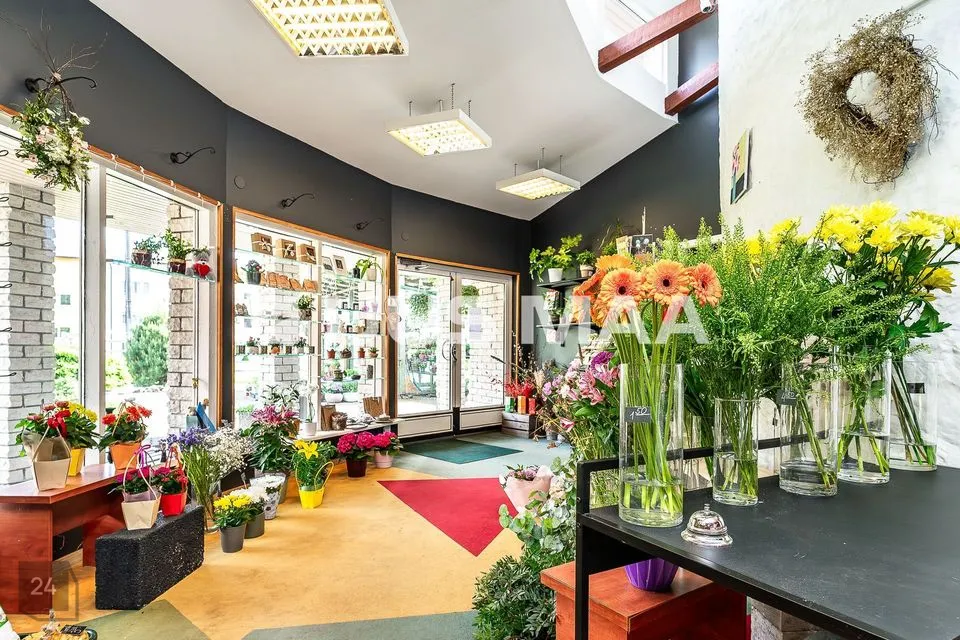 Mitme sihtotstarbega, 60 m² Äripind - Kuusalu vald, Kuusalu alevik